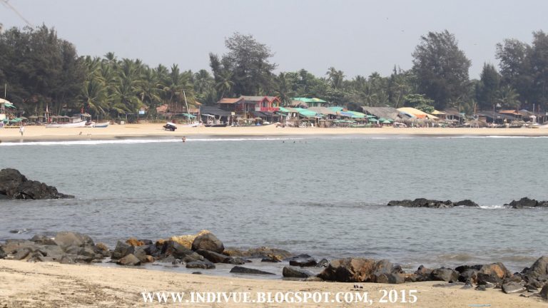 Patnemin ranta Intian Goassa, 2015