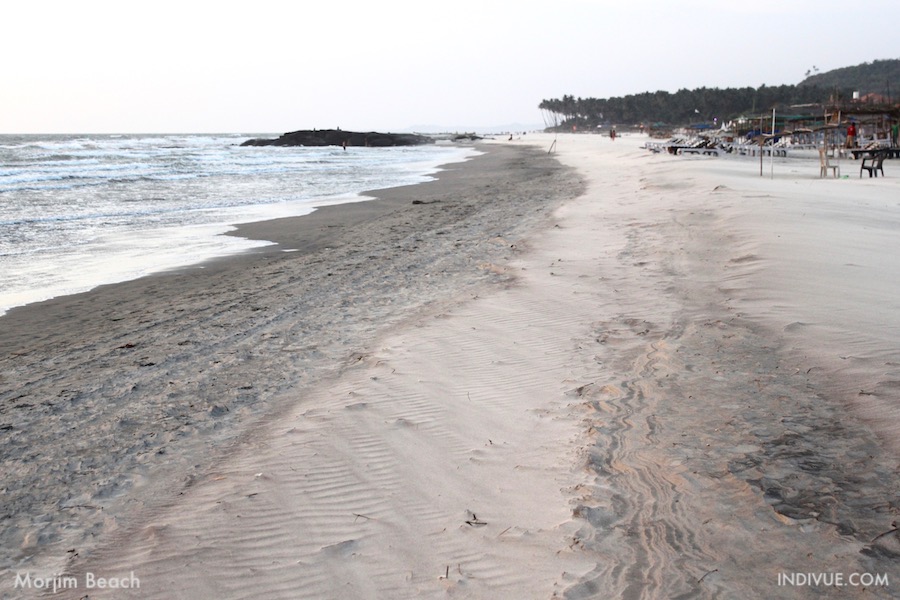 Morjim Beach, Goa, Intia