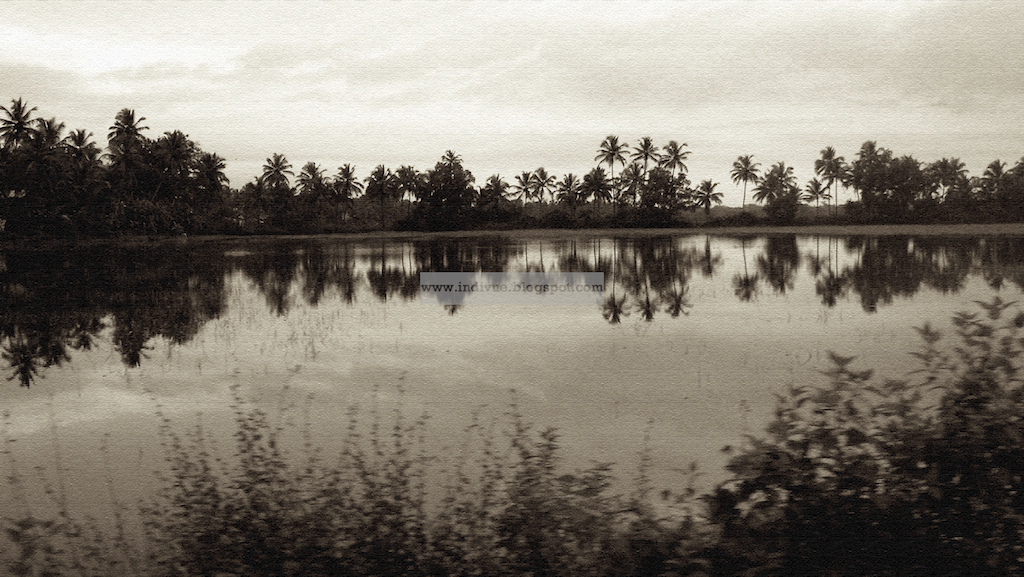 Baga-joen varrella Goassa