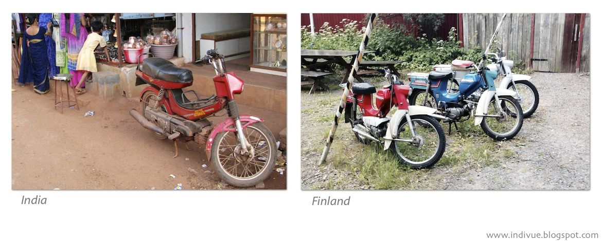 Suomalainen Tunturi pappamopo ja intialainen pappamopo