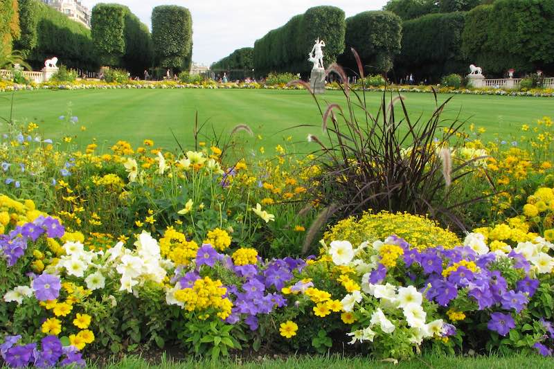 Luxembourgin puistoa ja kukkia Pariisissa