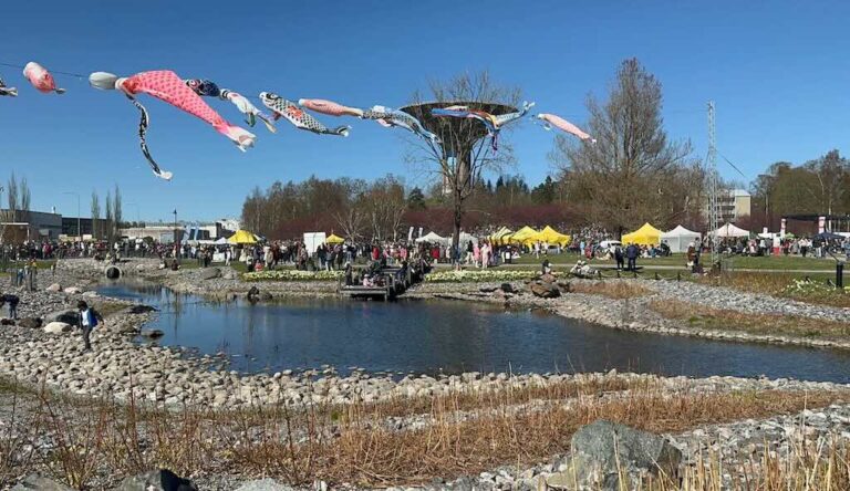 Kirsikkapuisto Roihuvuori