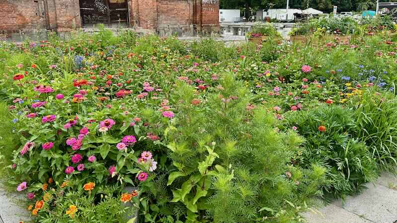 Olomoucin kaupunkiluontoa