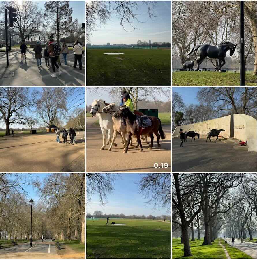 Lontoon Hyde Park talvella
