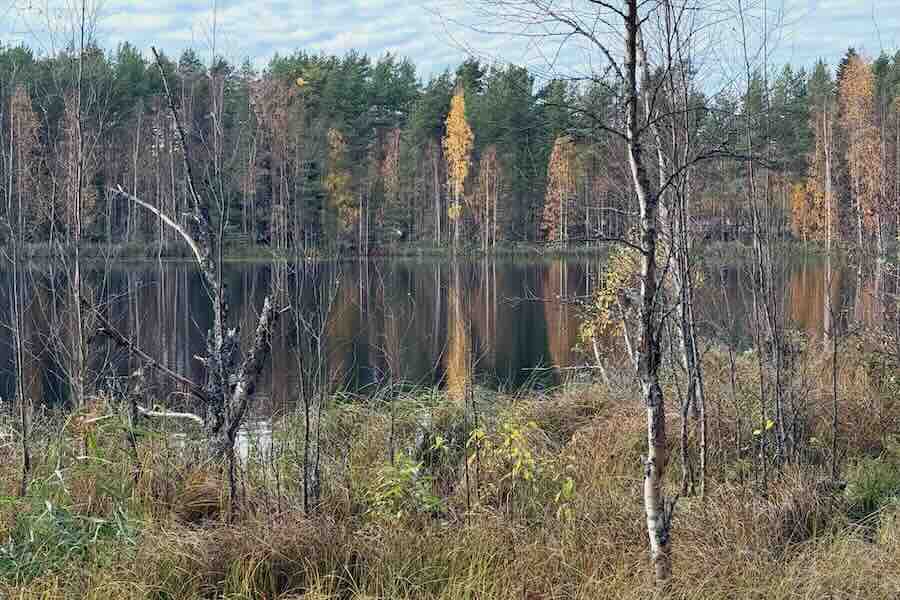 Lokakuun ruskaa Ähtärin Eläinpuistossa Inhassa