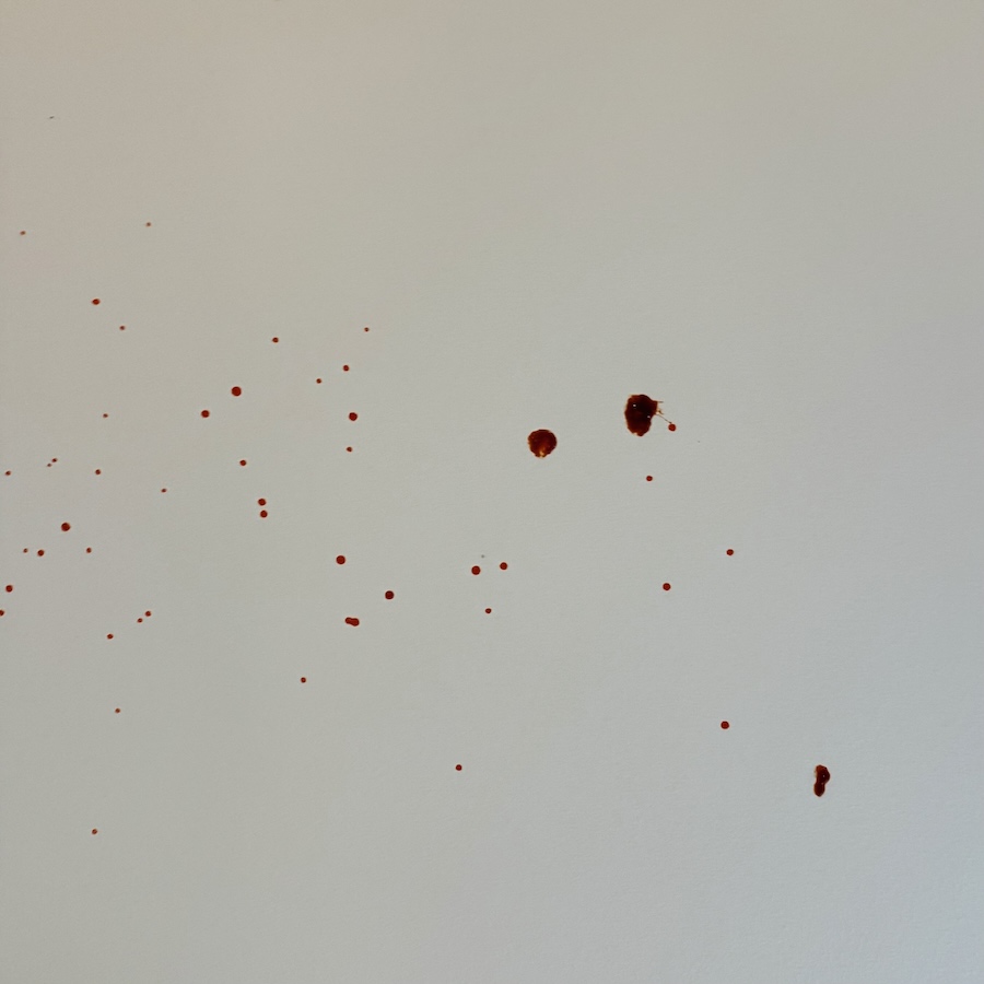 SpiceUp -Bali Currytahna keittiön katossa