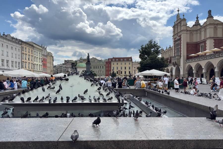 Krakovan tori ja linnut, pulut